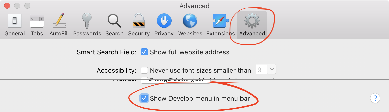 Safari Preferences showing develop menu option in Advanced