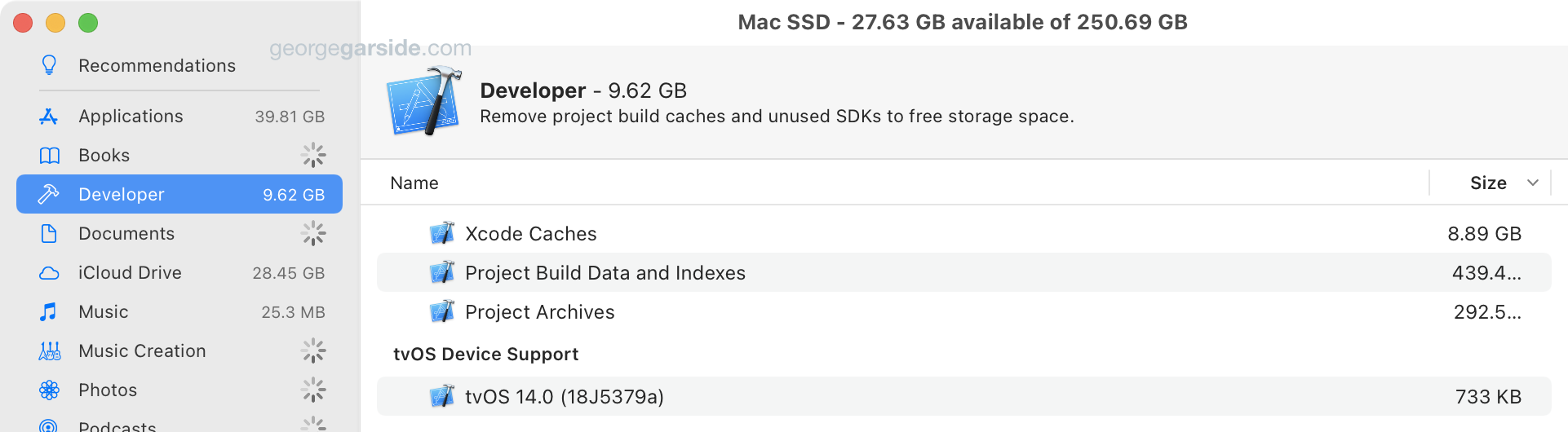 Xcode in Storage Management.app