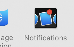 New Notifications.prefpane icon in Catalina